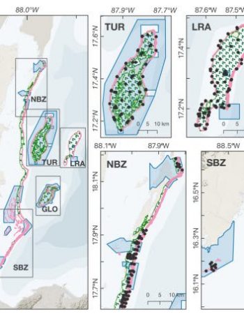 Belize-Nation-wide-assessment-of-the-distribution-and-population-size-of-the-data-deficient-nurse-shark-Ginglymostoma-cirratum