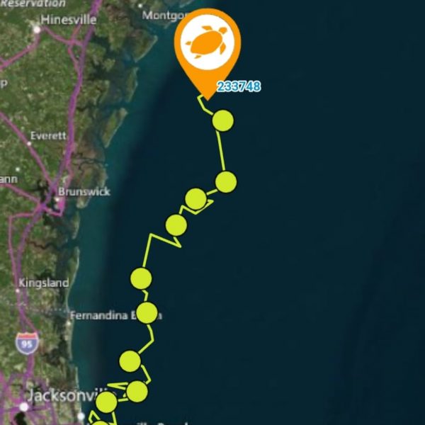 WhatsApp Image 2024-08-12 at 12.20.16_29e7357f