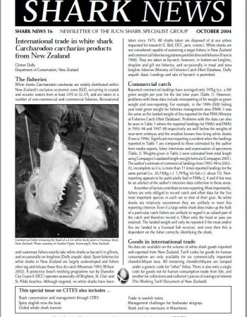 pubs_research_2004_10